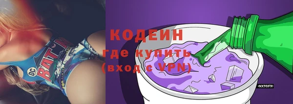 индика Волосово