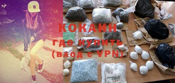 индика Волосово